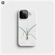 3-23_The-Lilies_phone