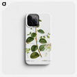 3-23_Treatise-on-Trees-and-Shrubs_phone