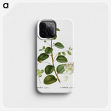 3-23_Treatise-on-Trees-and-Shrubs_phone