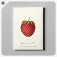 3-23_USDA-Watercolor-Fruit-Painting-Collection_canvas