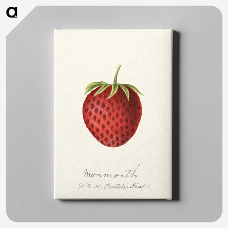 3-23_USDA-Watercolor-Fruit-Painting-Collection_canvas