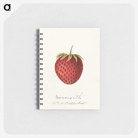 3-23_USDA-Watercolor-Fruit-Painting-Collection_memo