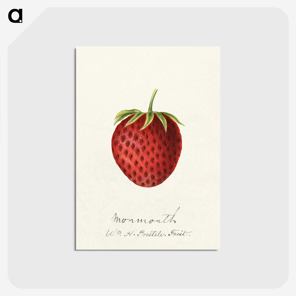 3-23_USDA-Watercolor-Fruit-Painting-Collection_postcard