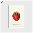 3-23_USDA-Watercolor-Fruit-Painting-Collection_postcard