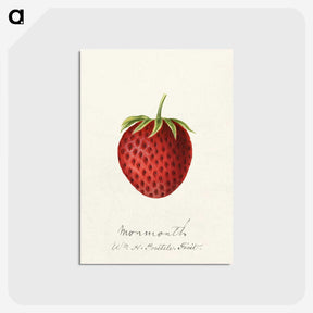 3-23_USDA-Watercolor-Fruit-Painting-Collection_postcard