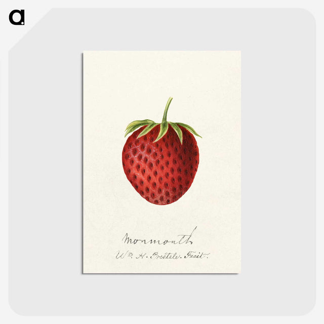 3-23_USDA-Watercolor-Fruit-Painting-Collection_postcard