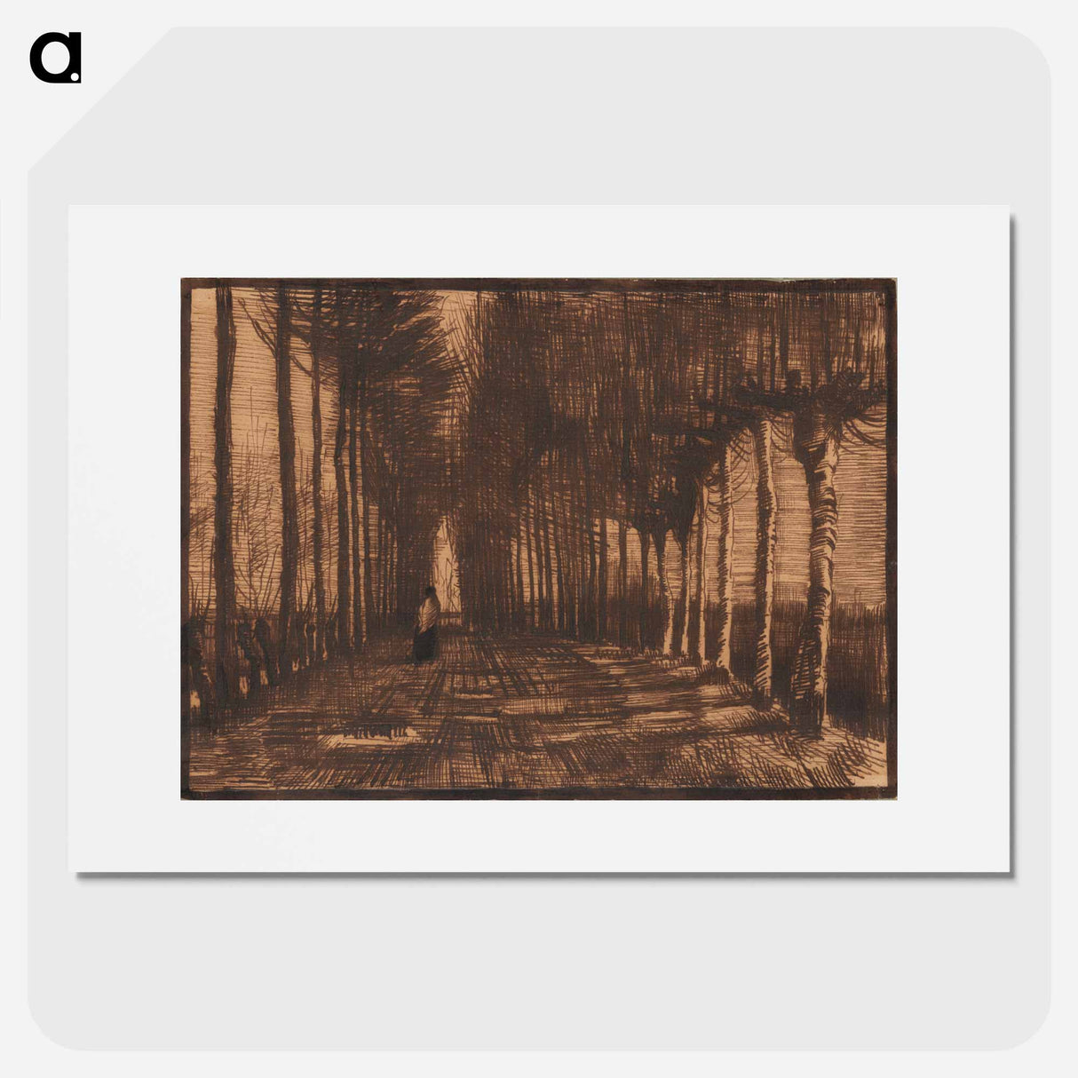 アートポスター-Avenue of Pollard Birches and Poplars - フィンセント ファン ゴッホ Poster.