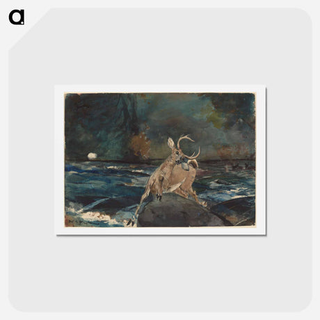 アートポストカード-A Good Shot, Adirondacks - ウィンスロー ホーマー Postcard.