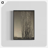 3-24_Alfred-Stieglitz_blk-crop