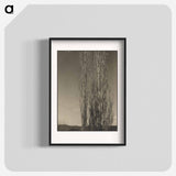 Dying Poplars, Lake George - アルフレッド スティーグリッツ Poster.