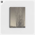 3-24_Alfred-Stieglitz_memo