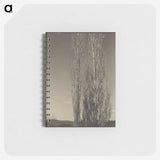 3-24_Alfred-Stieglitz_memo