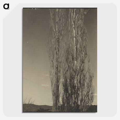 3-24_Alfred-Stieglitz_picture-crop
