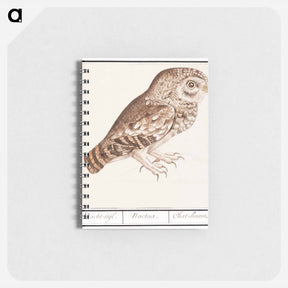アートメモ帳-Little owl - アンセルムス ボエティウス デ ブート Memo.