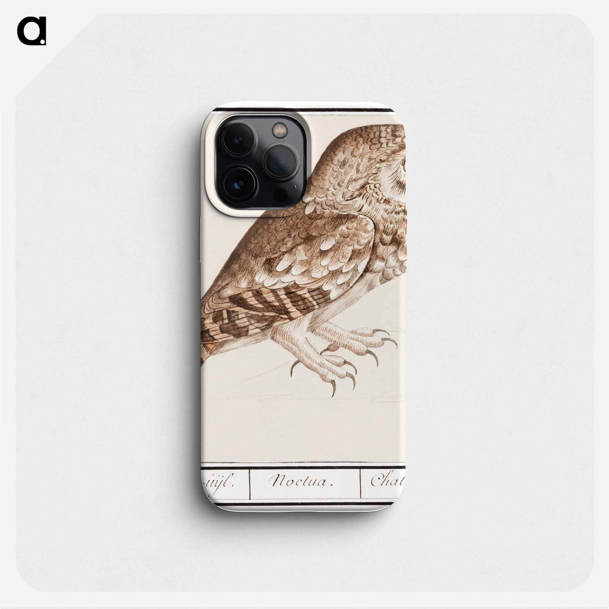 Little owl - アンセルムス ボエティウス デ ブート Phone Case.