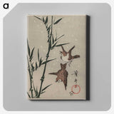 3-24_Cleveland-Museum-of-Art_canvas