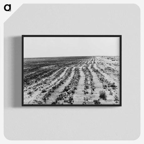 3-24_Dorothea-Lange_blk-crop