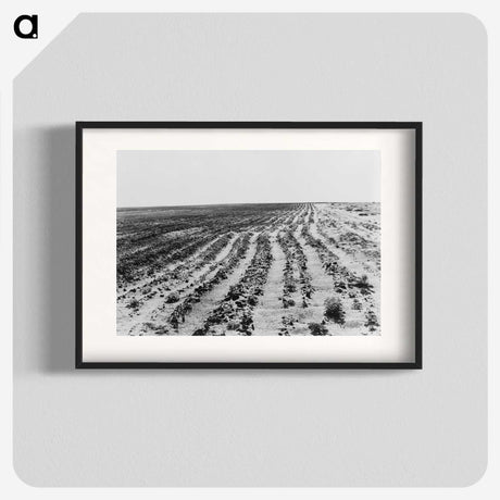 3-24_Dorothea-Lange_blk