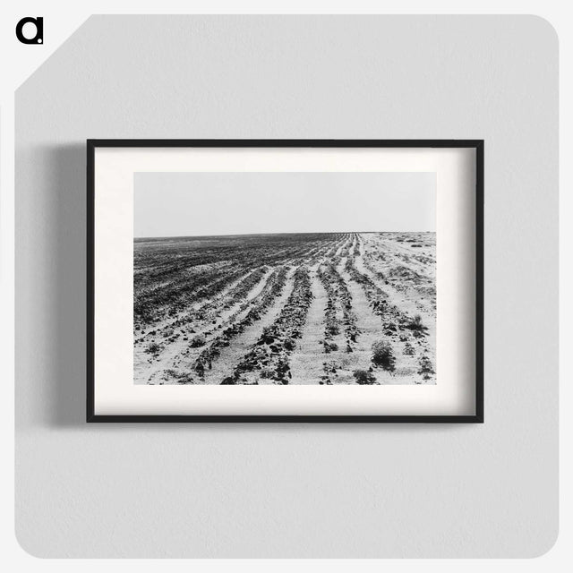 3-24_Dorothea-Lange_blk