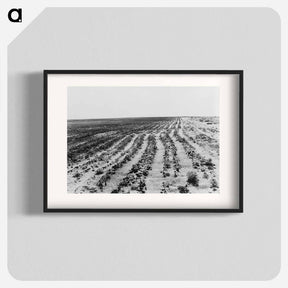 アートポスター-Dust Bowl - ドロテア ラング Poster.