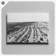 3-24_Dorothea-Lange_canvas