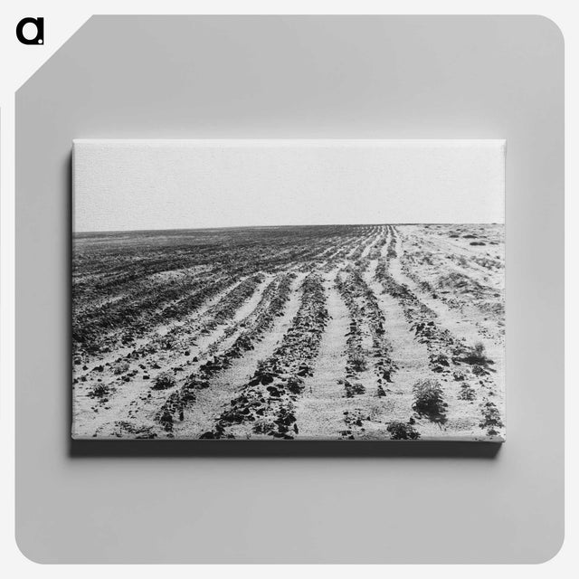 3-24_Dorothea-Lange_canvas