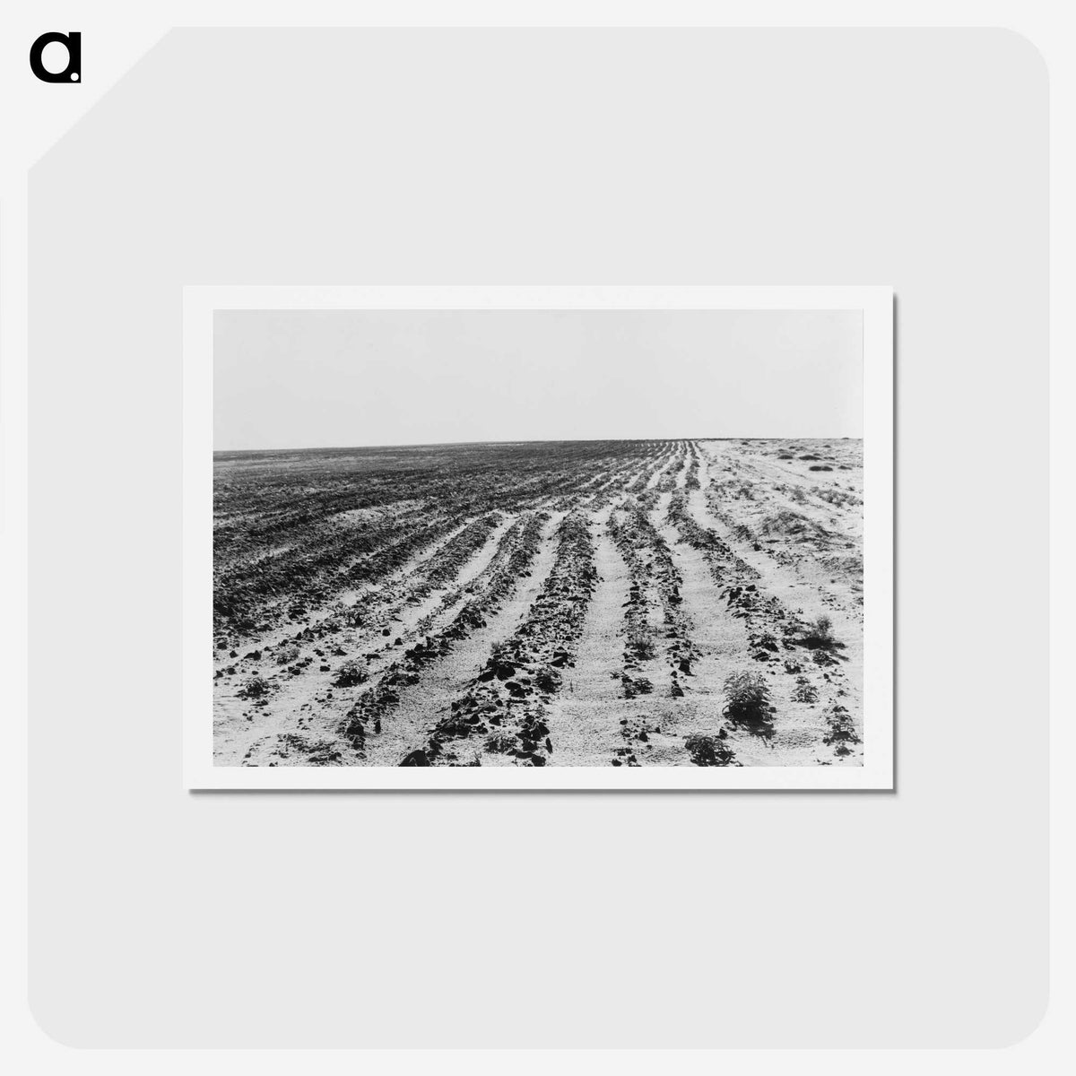 3-24_Dorothea-Lange_hagaki