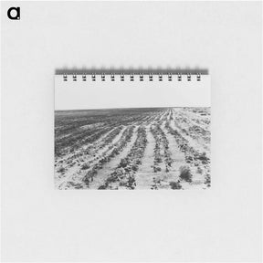 アートメモ帳-Dust Bowl - ドロテア ラング Memo.