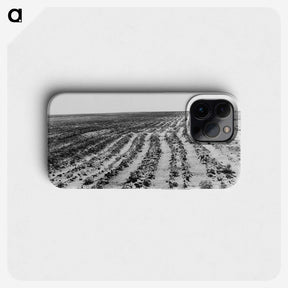 3-24_Dorothea-Lange_phone