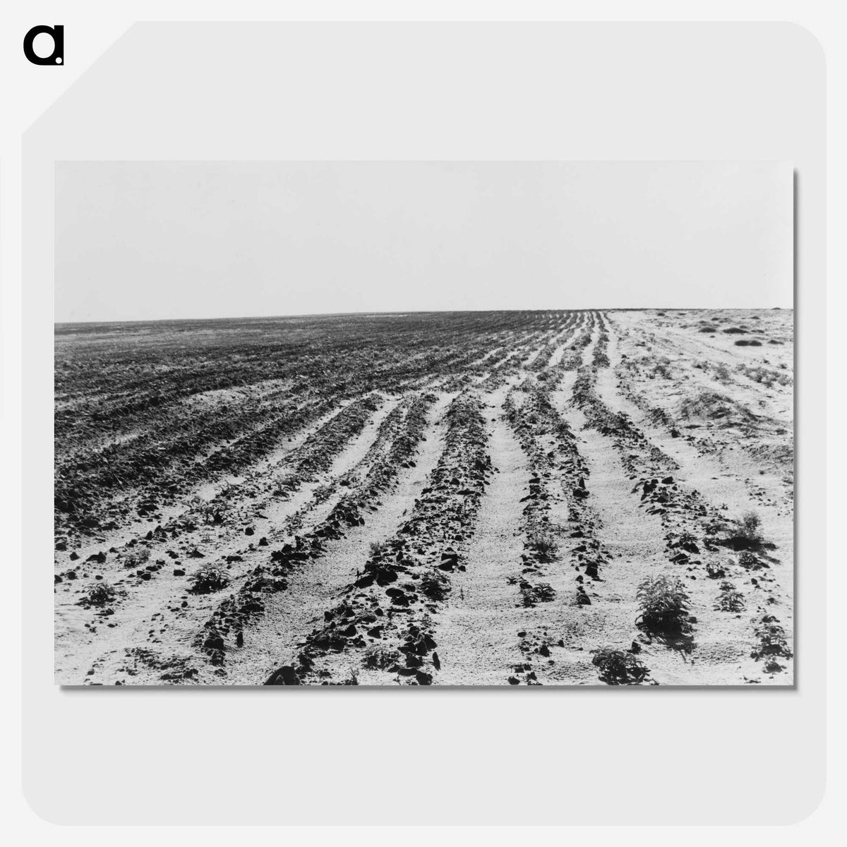3-24_Dorothea-Lange_picture-crop