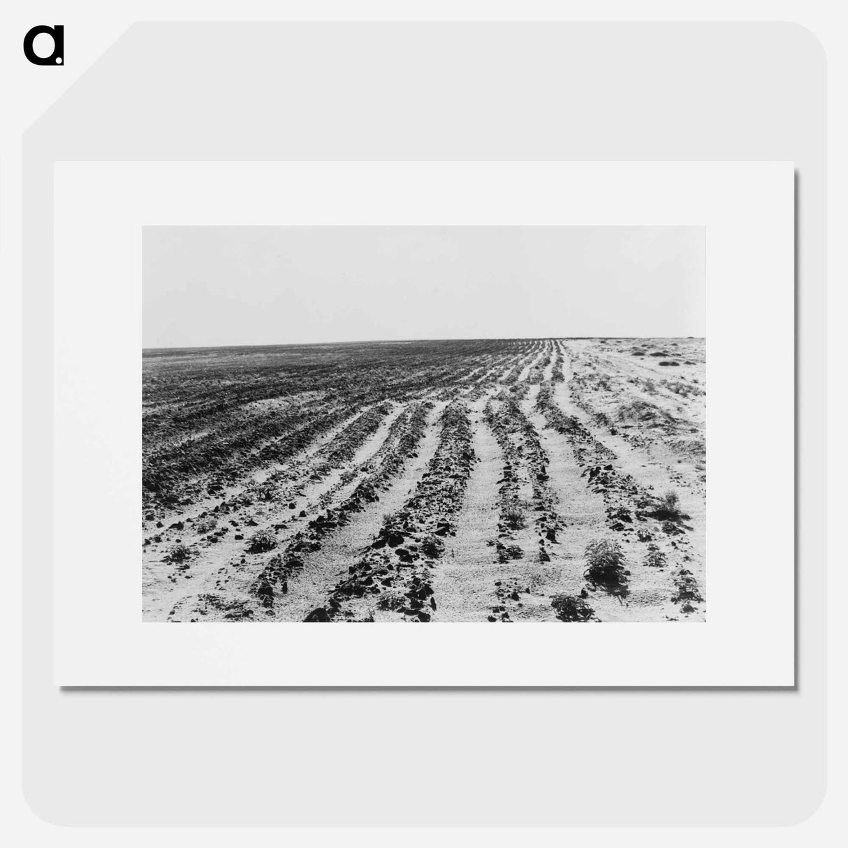 Dust Bowl - Dorothea Lange Poster.