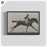 3-24_Eadweard-Muybridge_blk-crop