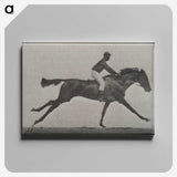 3-24_Eadweard-Muybridge_canvas