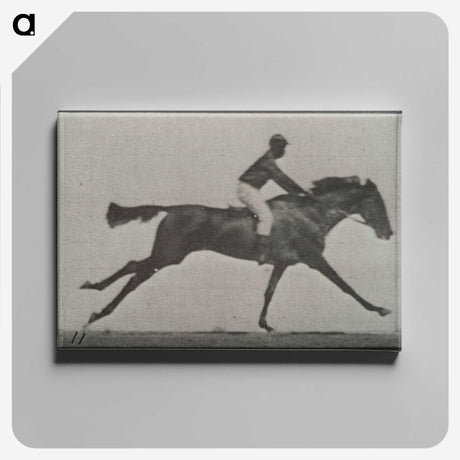 3-24_Eadweard-Muybridge_canvas