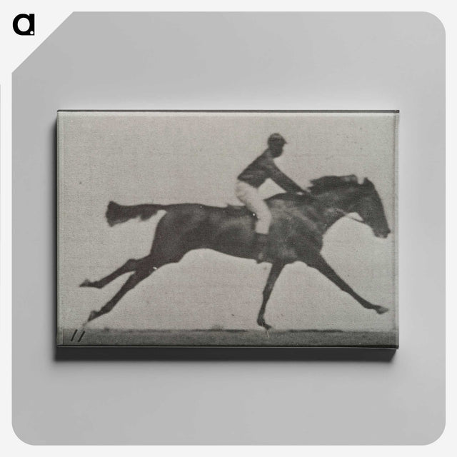 3-24_Eadweard-Muybridge_canvas