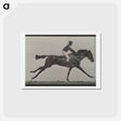 アートポストカード-Galloping Horse and Rider
 - エドワード マイブリッジ Postcard.