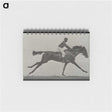 3-24_Eadweard-Muybridge_memo