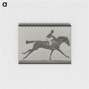 3-24_Eadweard-Muybridge_memo