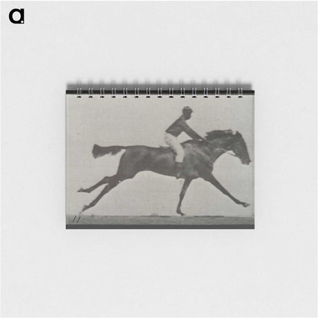 3-24_Eadweard-Muybridge_memo