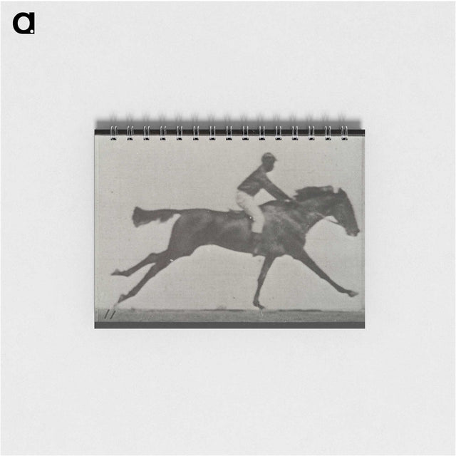 3-24_Eadweard-Muybridge_memo