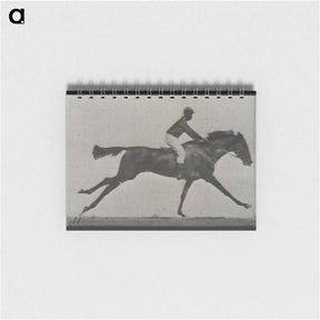アートメモ帳-Galloping Horse and Rider
 - エドワード マイブリッジ Memo.