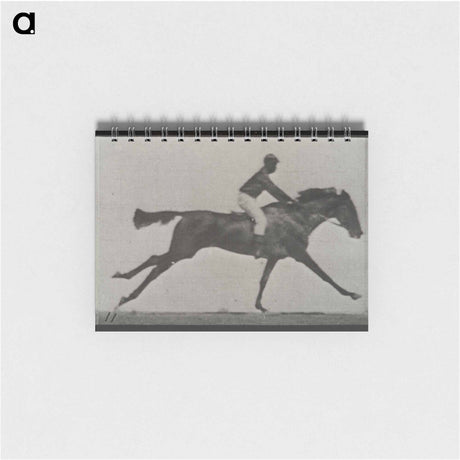 アートメモ帳-Galloping Horse and Rider
 - エドワード マイブリッジ Memo.