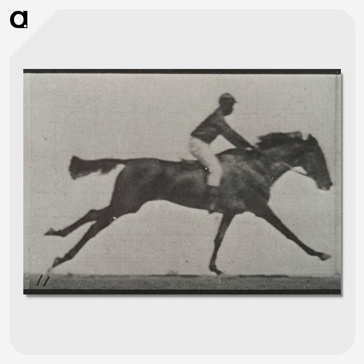 3-24_Eadweard-Muybridge_picture-crop