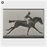 3-24_Eadweard-Muybridge_picture-crop