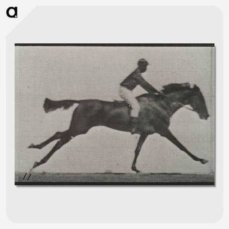 3-24_Eadweard-Muybridge_picture-crop