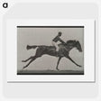 3-24_Eadweard-Muybridge_picture