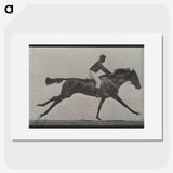 3-24_Eadweard-Muybridge_picture