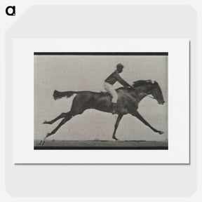 3-24_Eadweard-Muybridge_picture
