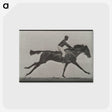 3-24_Eadweard-Muybridge_postcard