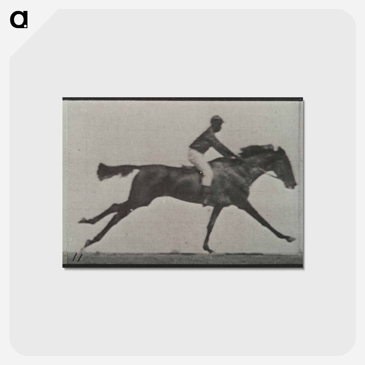 アートポストカード-Galloping Horse and Rider
 - エドワード マイブリッジ Postcard.